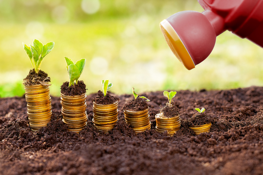 Watering can watering coin stack with plant on them